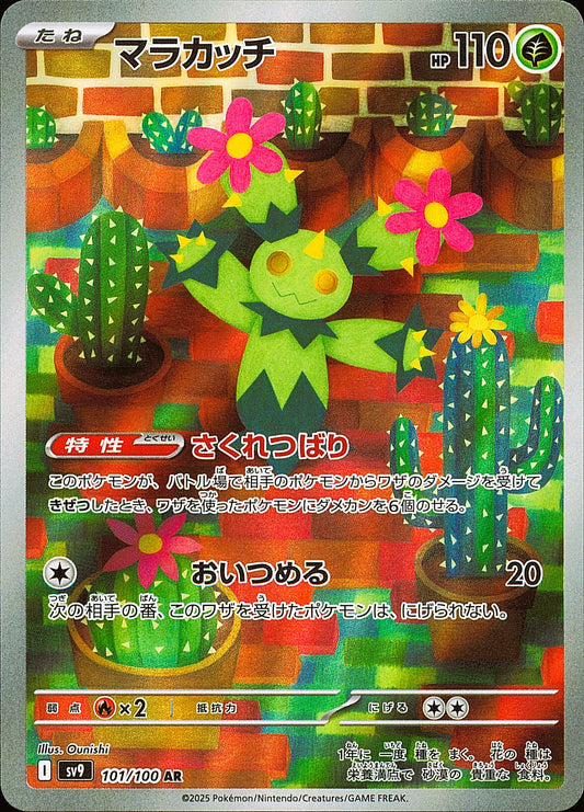 Maracachi 101/100 – Battle Partners SV9 – recto