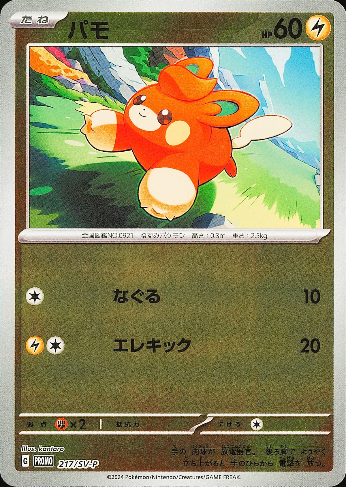 Pohm 217/SV-P promo Pokémon japonaise, Mint opened — recto