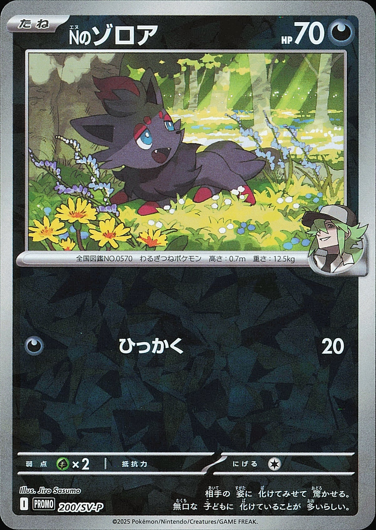 Zorua de N 200/SV-P / Mint opened — recto