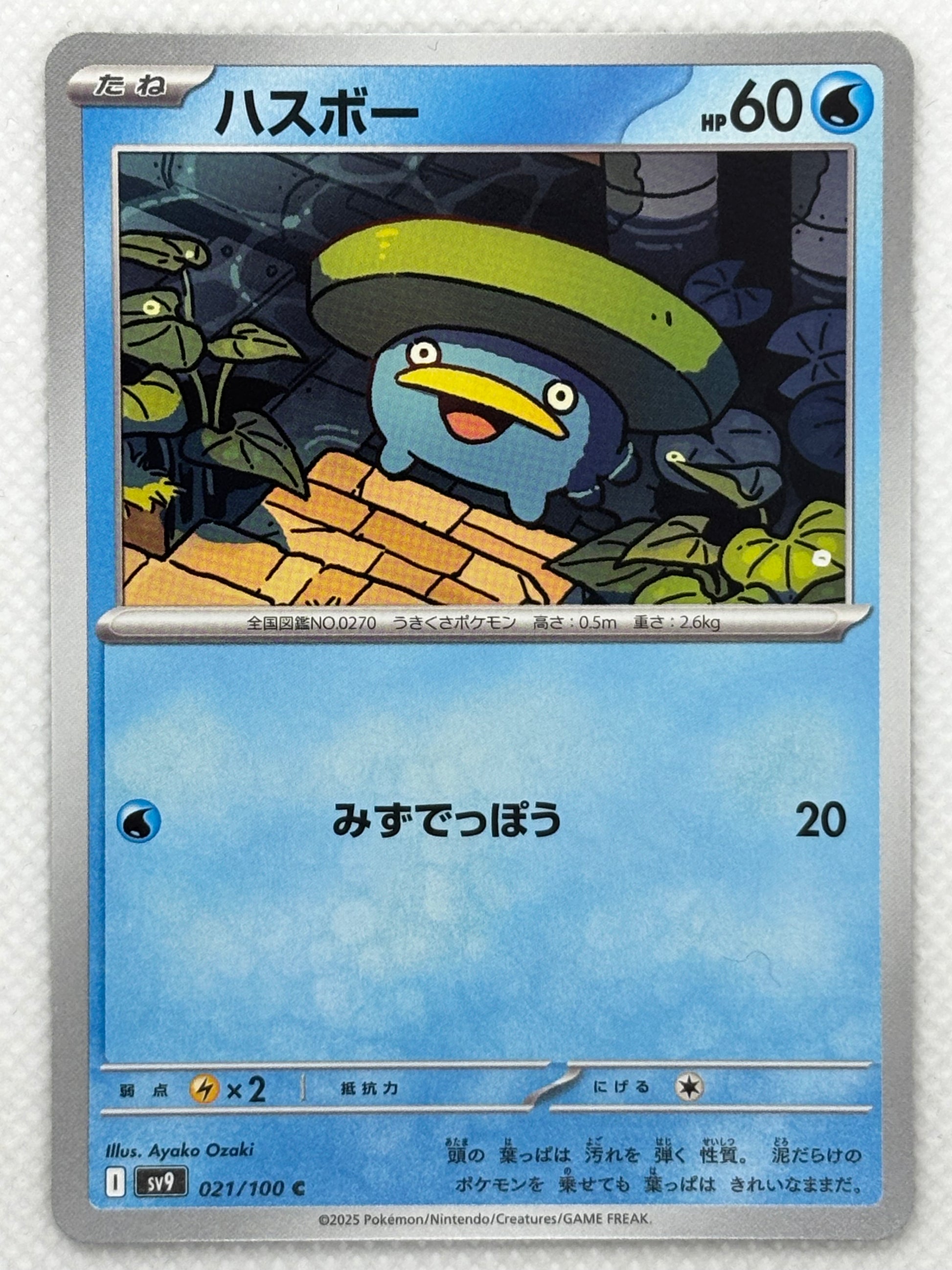 Lotad card showing its details, abilities, and its role in the Battle Partners set.