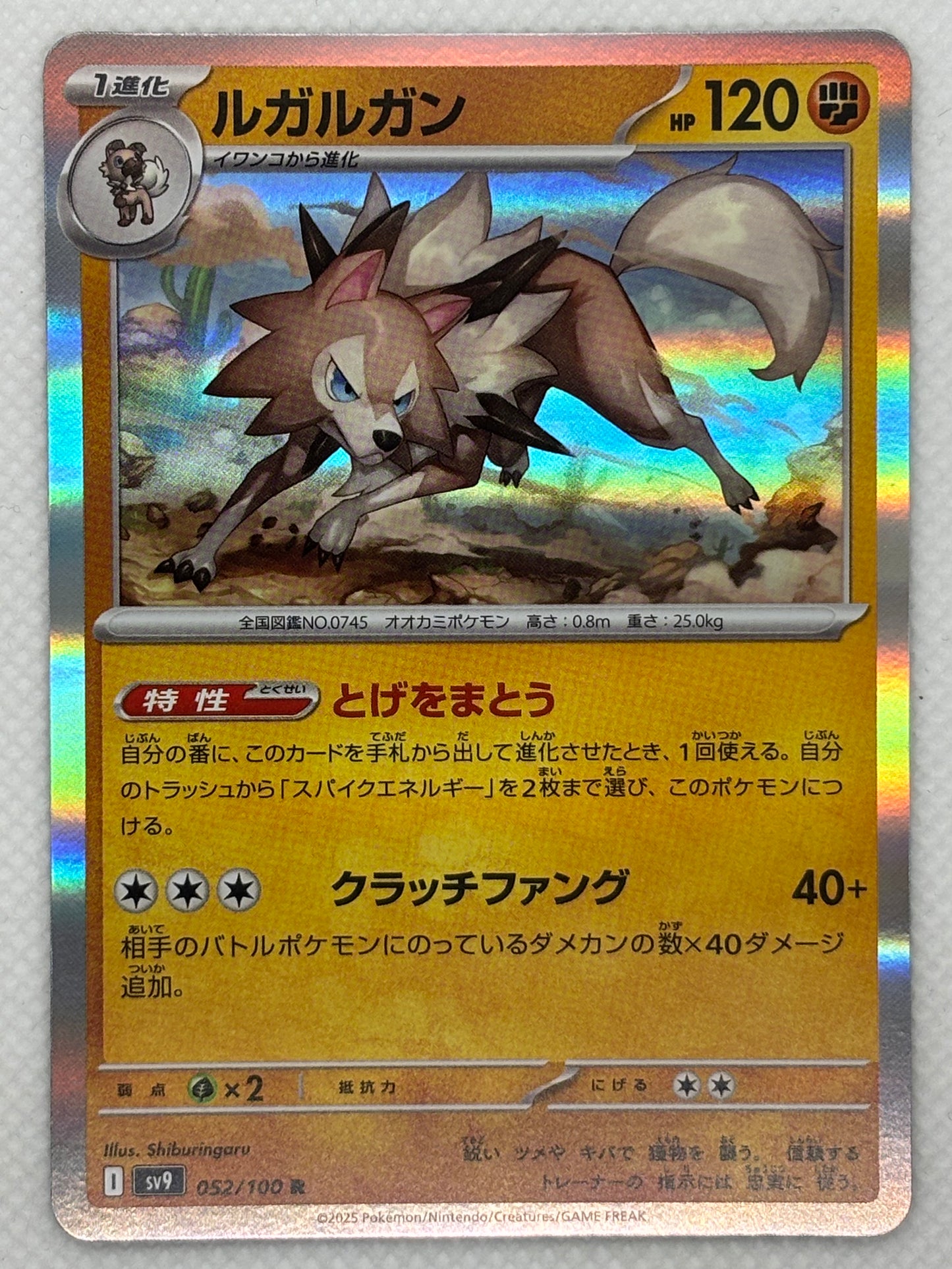 Lycanroc card showing its details, abilities, and its role in the Battle Partners set.