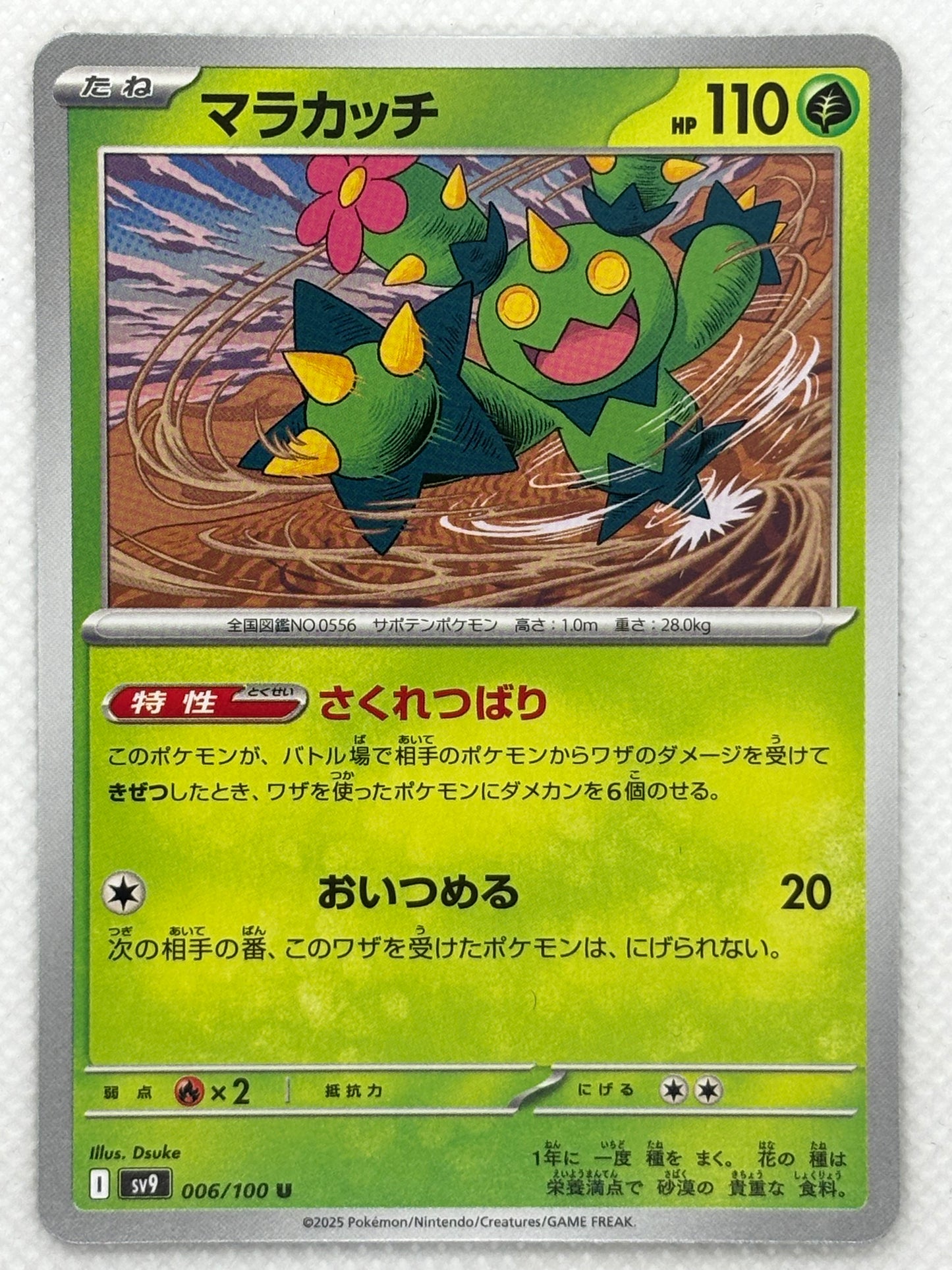 Maractus card showing its details, abilities, and its role in the Battle Partners set.