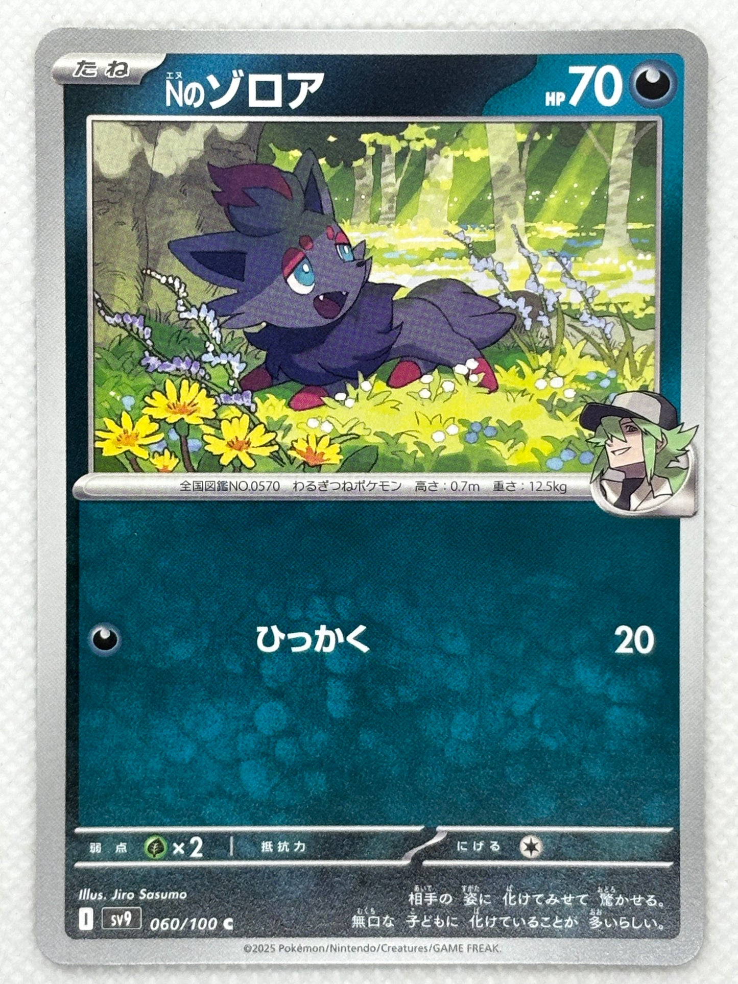N's Zorua card showing its details, abilities, and its role in the Battle Partners set.