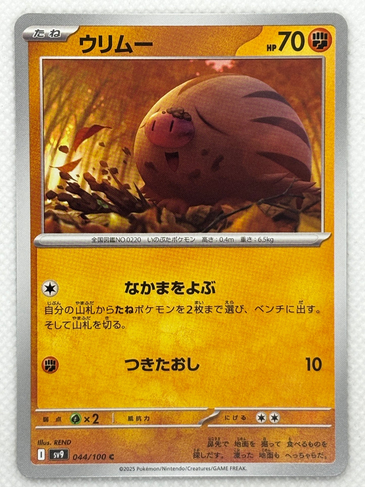 Swinub card showing its details, abilities, and its role in the Battle Partners set.