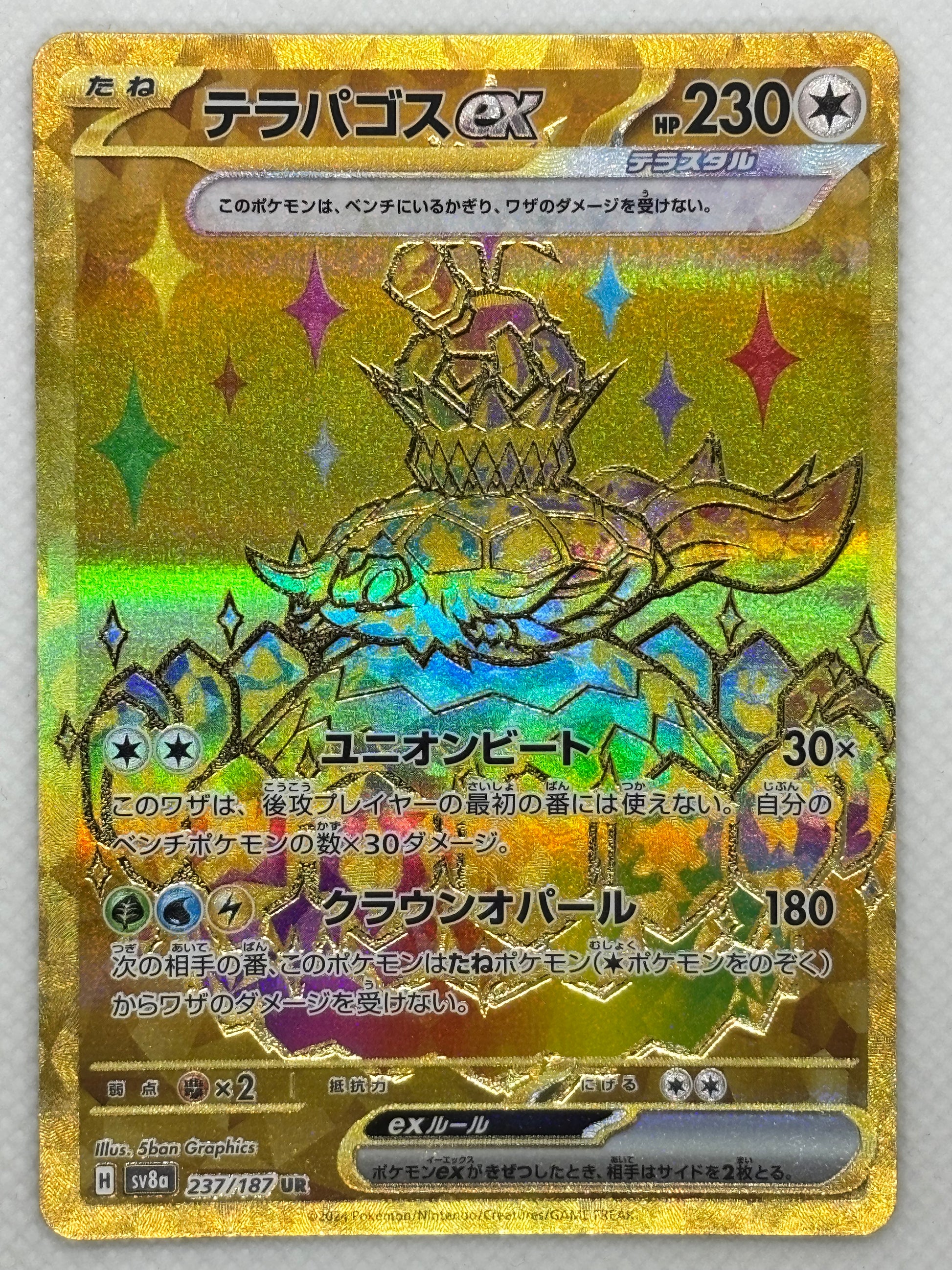 Explore Terapagos ex from the "Terastal Festival ex" set in the Pokemon Scarlet & Violet series. An Energy-type Pokémon card with powerful defensive and offensive abilities. Image of the card included.