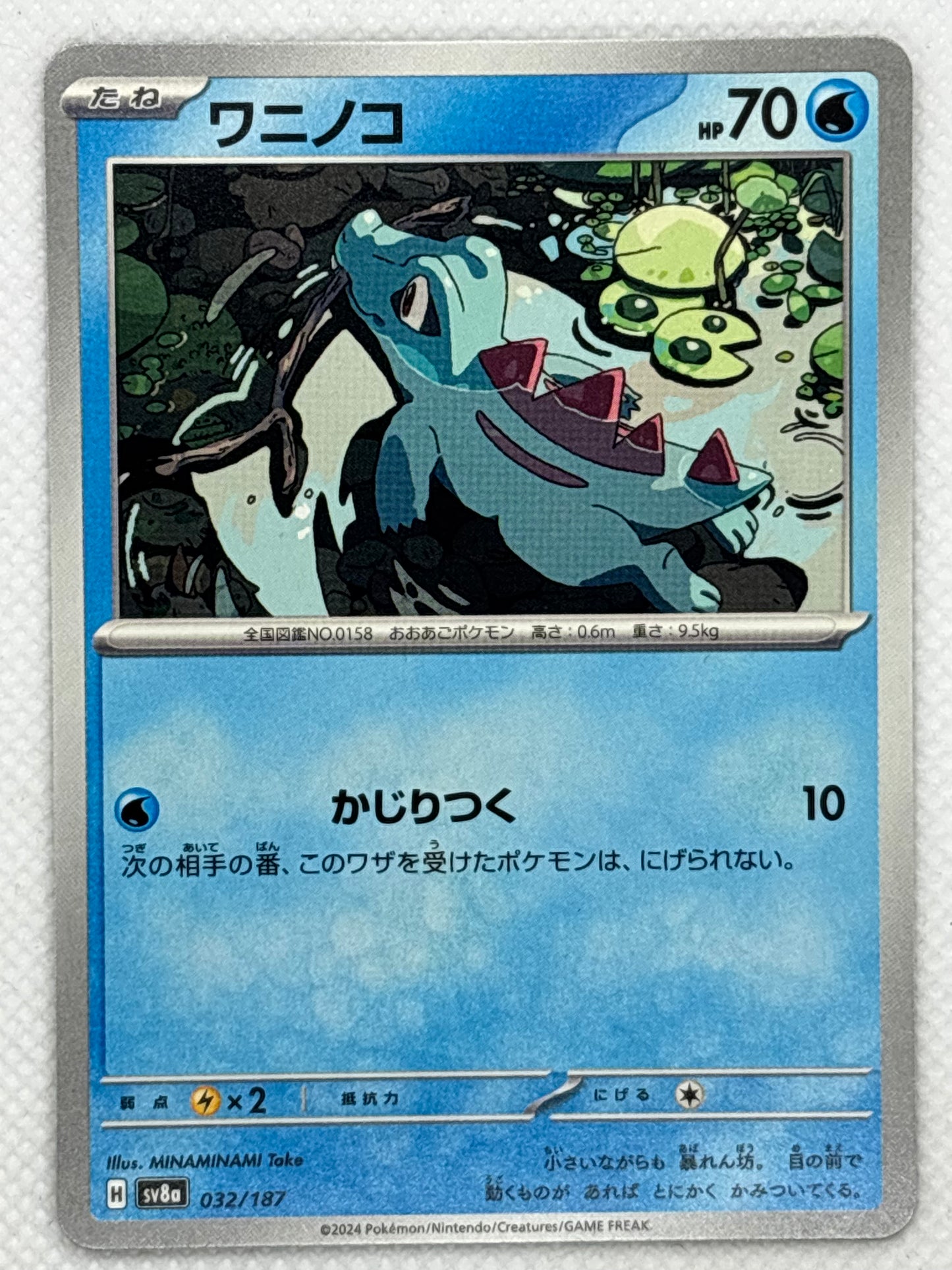 Totodile card showing its details, abilities, and its role in the Terastal Festival ex set of the Scarlet & Violet series.